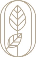 icon of leaves inside oval frame