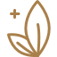 leaf icon